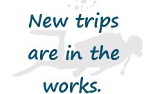 New Trips
